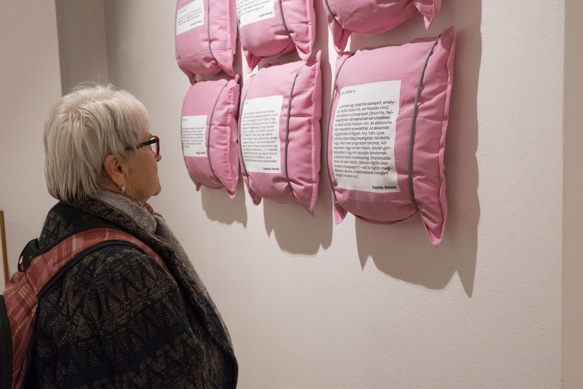 Halálom esetén elégetendő! - Írói naplók kiállítás megnyitója a Haáz Rezső Múzeumban