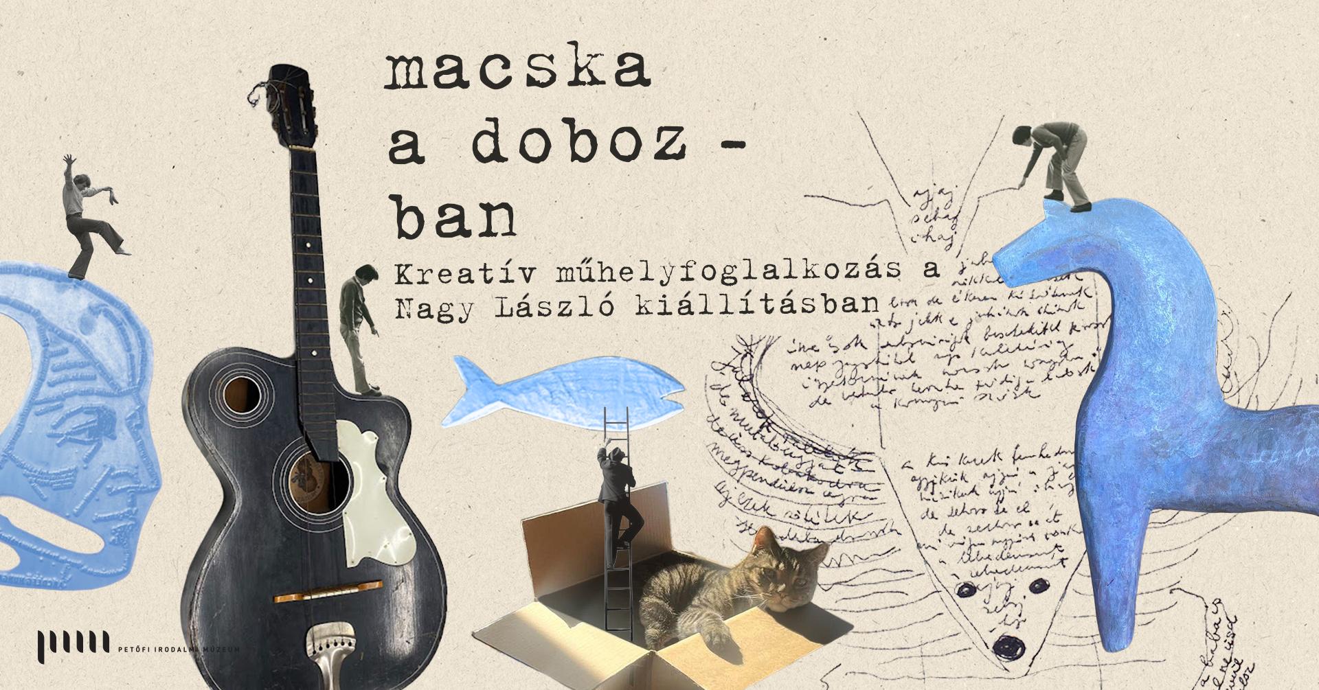Macska a dobozban