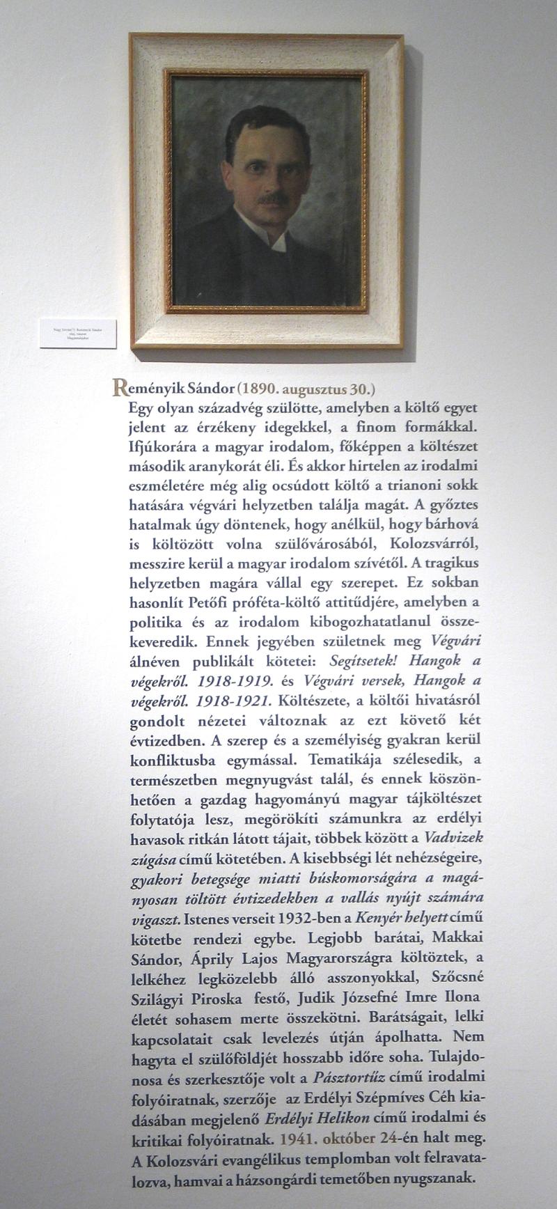 remenyik8.jpg
