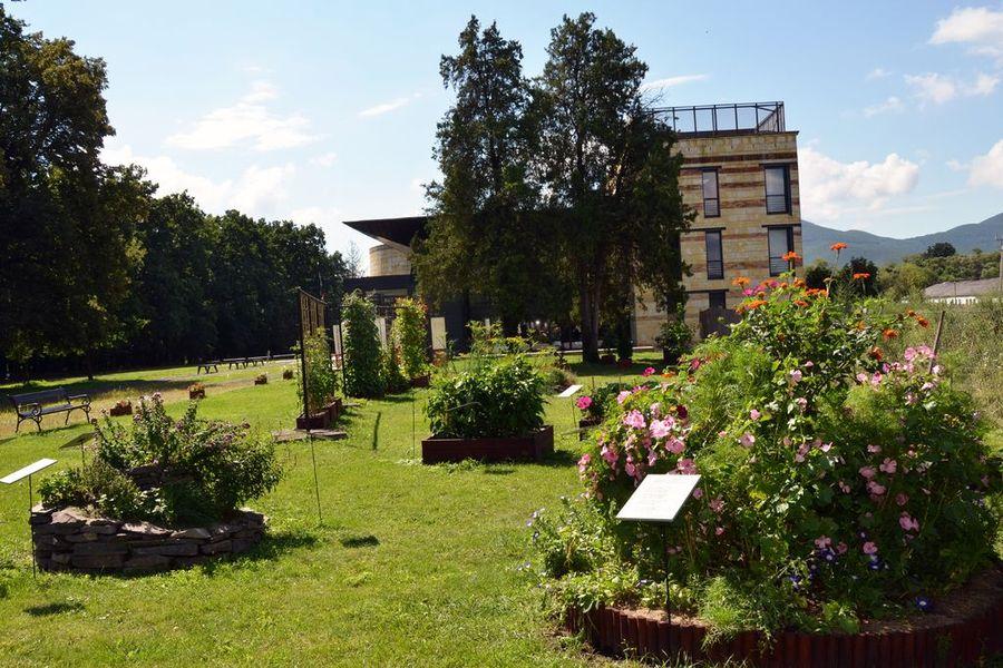 Irodalmi herbárium 1