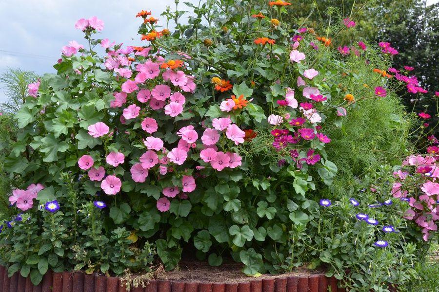 Irodalmi herbárium 3