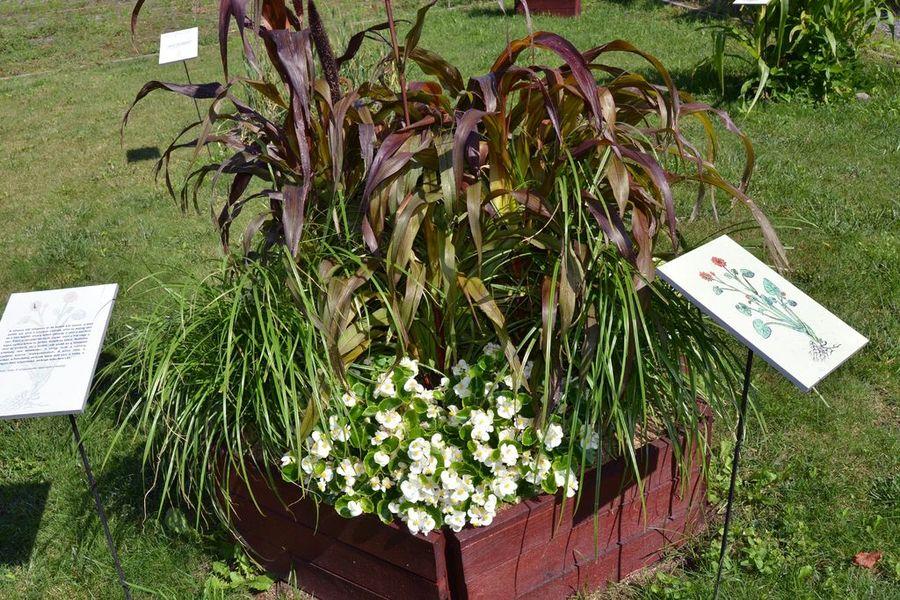 Irodalmi herbárium 4