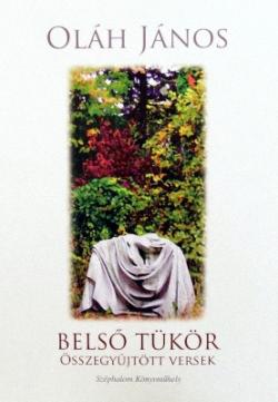Belső tükör (2014)