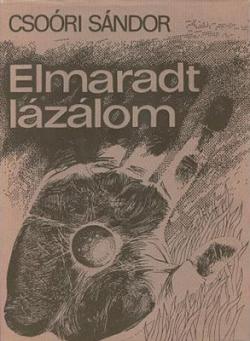 Elmaradt lázálom (1982)