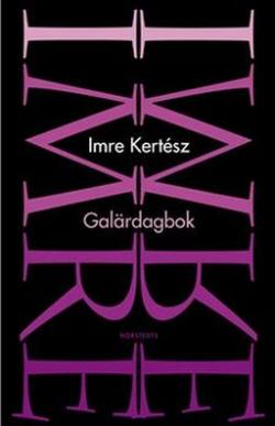 Galärdagbok (2002)