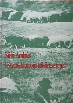 Gyermekkorom tükörcserepei (1984)