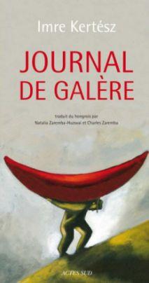 Journal de galère (2010)