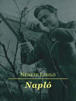 Napló (2006)