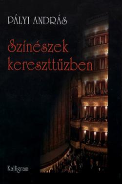 Színészek kereszttűzben (2011)