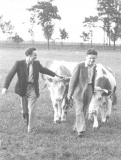 1960–61, vidéken