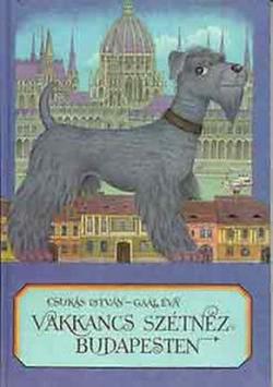 Vakkancs szétnéz Budapesten (1989)