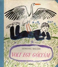 Volt egy gólyám (1966)