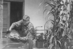Az egyik nagy ponty (1979)