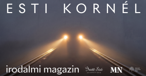 Irodalmi Magazin