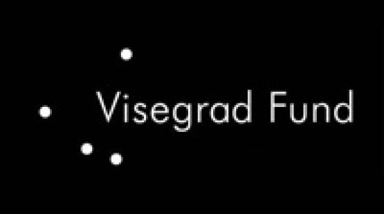 Visegrad Literary Residency Program 2013